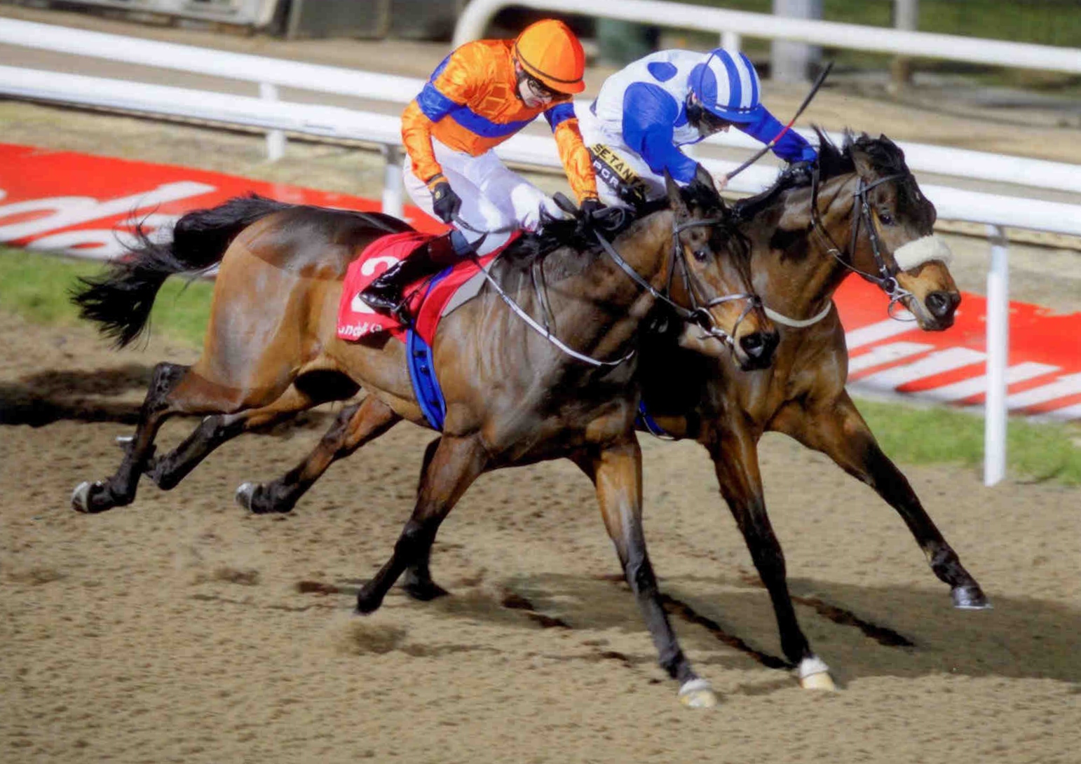 TENNESSEE WILDCAT notches up his second victory of 2015 at Dundalk on February 6th